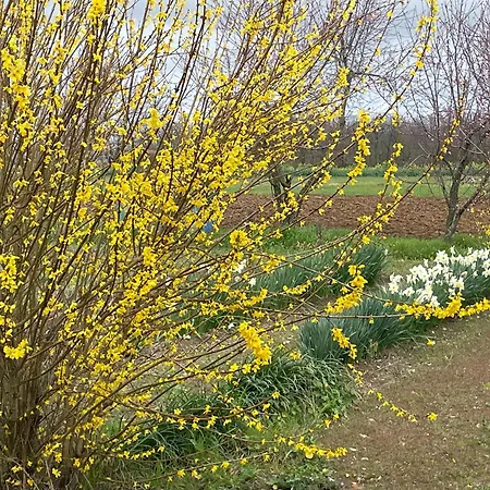 D'hotes Lamidome B&B *