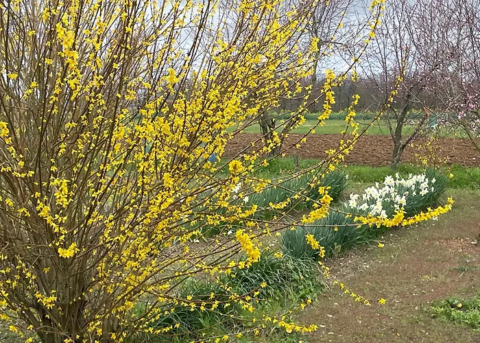 D'hotes Lamidome Bed and Breakfast *